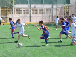 MIS Sports